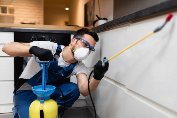 Best Pest Removal Services  in Waynesboro, TN