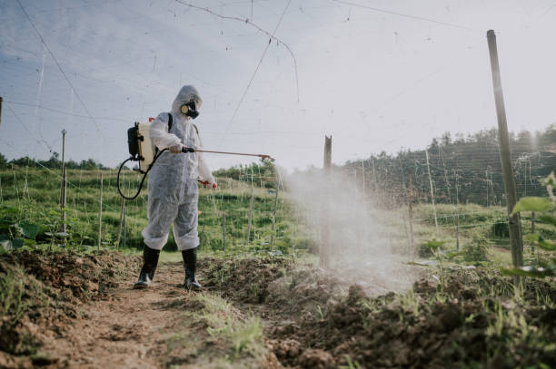 Best Local Pest Control Services  in Waynesboro, TN