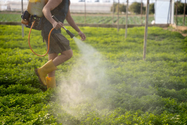 Best Mosquito Control Services  in Waynesboro, TN