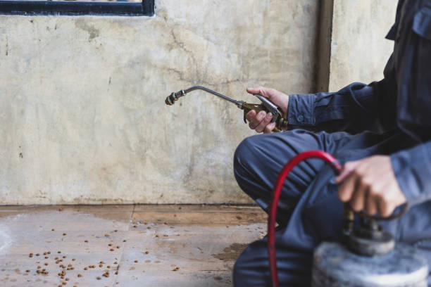 Best Termite Control Services  in Waynesboro, TN