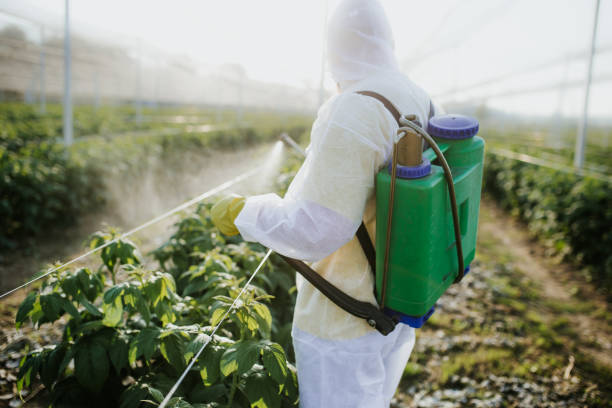 Best Cockroach Control Services  in Waynesboro, TN